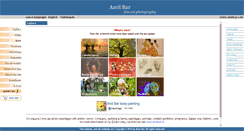 Desktop Screenshot of amitbar.com